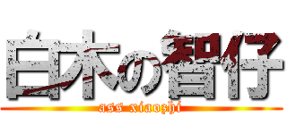 白木の智仔 (ass xiaozhi)