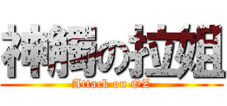 神觸の拉姐 (Attack on OZ)