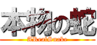 本物の蛇 (ARealSnake)