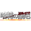 哈韓の桑尼 (汪汪汪汪汪汪汪汪汪汪汪汪汪汪汪汪汪汪汪汪)