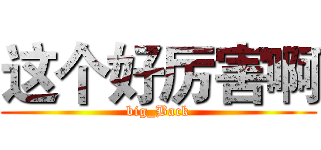 这个好厉害啊 (big_Back)
