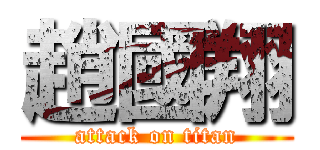 趙國翔 (attack on titan)