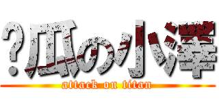 傻瓜の小澤 (attack on titan)