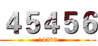 ４５４５６ (14565)