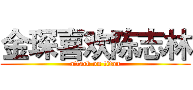 金琛喜欢陈志林 (attack on titan)