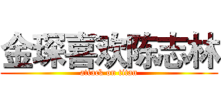 金琛喜欢陈志林 (attack on titan)