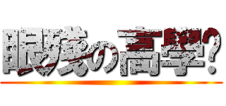 眼殘の高學歷 ()