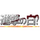 進撃の白鸡 (cold boiled chicken)