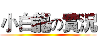 小白龍の實況 ()