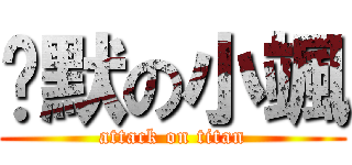 沉默の小颯 (attack on titan)