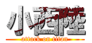 小西陸 (attack on titan)