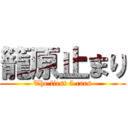 籠原止まり (The first 5 cars)