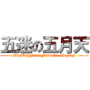 五迷の五月天 (MayDayFans Favorite Mayday)