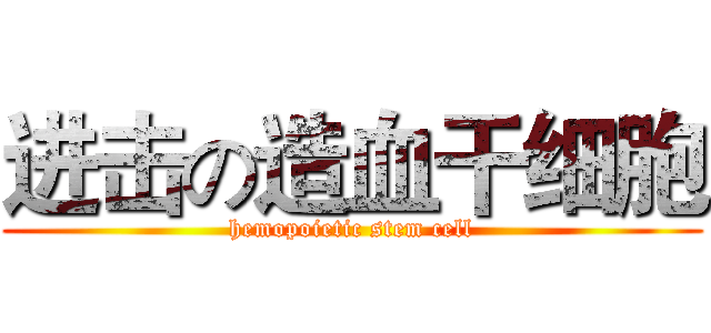 进击の造血干细胞 (hemopoietic stem cell)