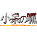 小呆の呱 (xiaodaigua)