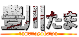 豊川たま (tamatoyokawa)