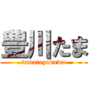 豊川たま (tamatoyokawa)