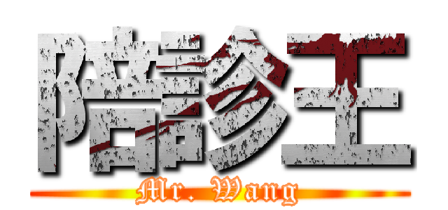陪診王 (Mr. Wang)
