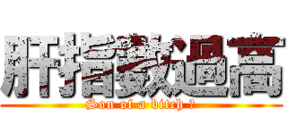 肝指數過高 (Son of a bitch ﻿)