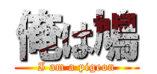 俺は鳩 (I am a pigeon)