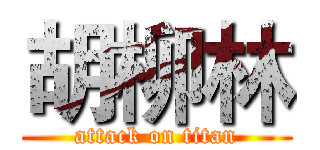胡柳林 (attack on titan)
