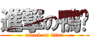 進撃の鴨雯 (attack on titan)