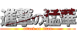 進撃の猛華 (attack on titan)