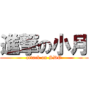 進撃の小月 (attack on SDO)