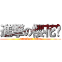 進撃の櫻花貓 (attack on titan)