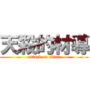 天殺的材導 (attack on titan)