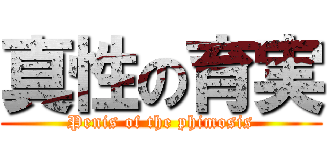 真性の育実 (Penis of the phimosis)