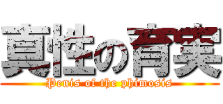 真性の育実 (Penis of the phimosis)