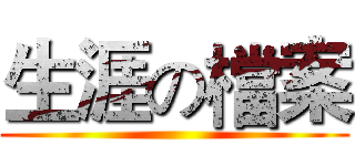 生涯の檔案 ()