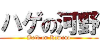 ハゲの河野 (Bald on Kawano)