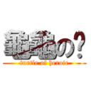 龜龜の俠 (turtle of heroic)