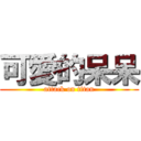 可愛的呆呆 (attack on titan)