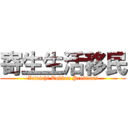 寄生生活移民 (Zainichi Tokken Problems)