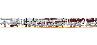 不要叫我葱葱要叫我舔足狂人 (attack on titan)