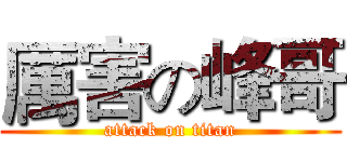 厲害の峰哥 (attack on titan)