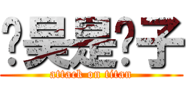 张昊是傻子 (attack on titan)