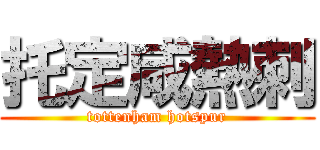 托定咸熱刺 (tottenham hotspur)