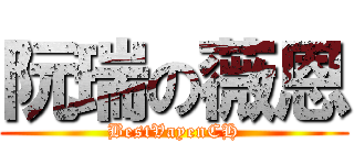 阮瑞の薇恩 (BestVayenCH)