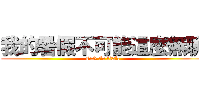 我的暑假不可能這麼無聊 (Fuck the bitch!)