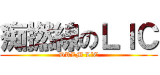 痴撚線のＬｌＣ (DKLM LlC)