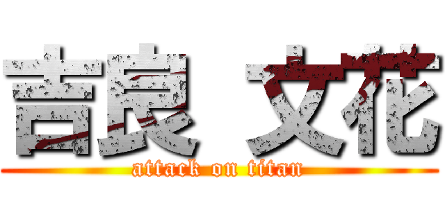 吉良 文花 (attack on titan)