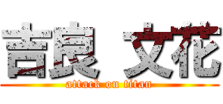 吉良 文花 (attack on titan)