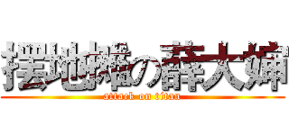 摆地摊の薛大婶 (attack on titan)