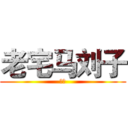 老宅马刘子 (剧烈)