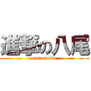 進撃の八尾 (comfortable )