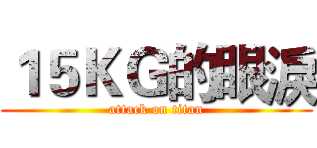 １５ＫＧ的眼淚 (attack on titan)